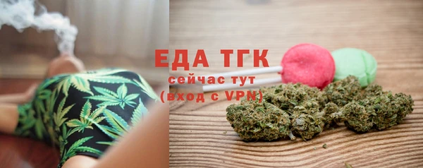 индика Вязники
