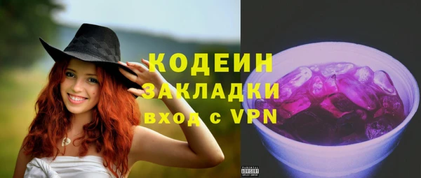 индика Вязники