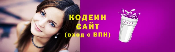 индика Вязники