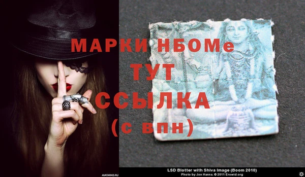 индика Вязники