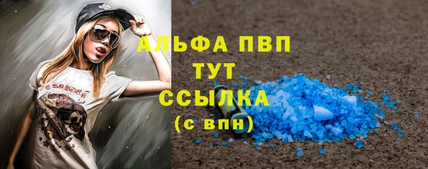 индика Вязники