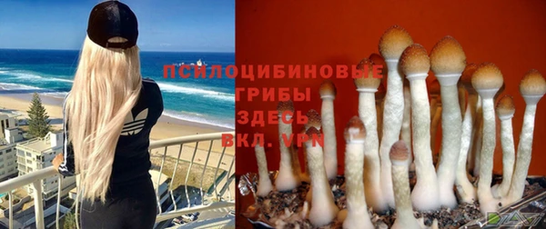 индика Вязники