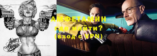 индика Вязники
