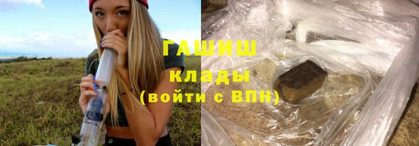 индика Вязники